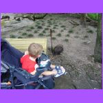 Looking At Birds.jpg